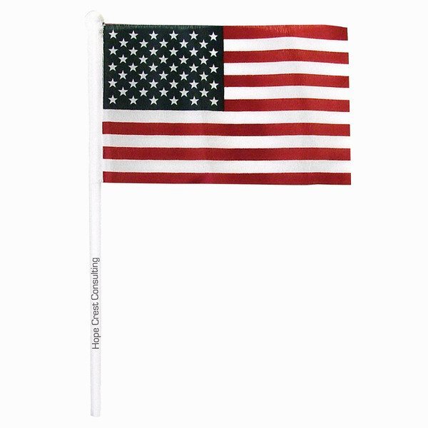 USA Flag with Plastic Stick, 4" x 6"