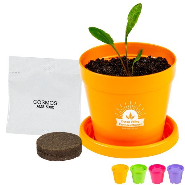 Colorful Planter Kit