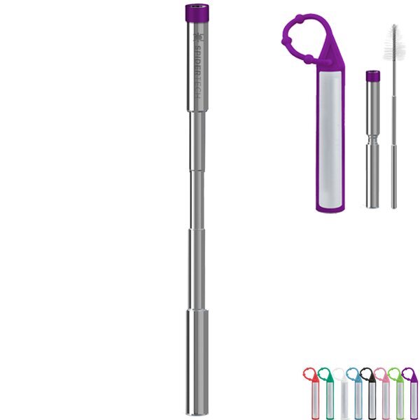 Expandable Stainless Steel Straw w/ Case & Silicone Carabiner