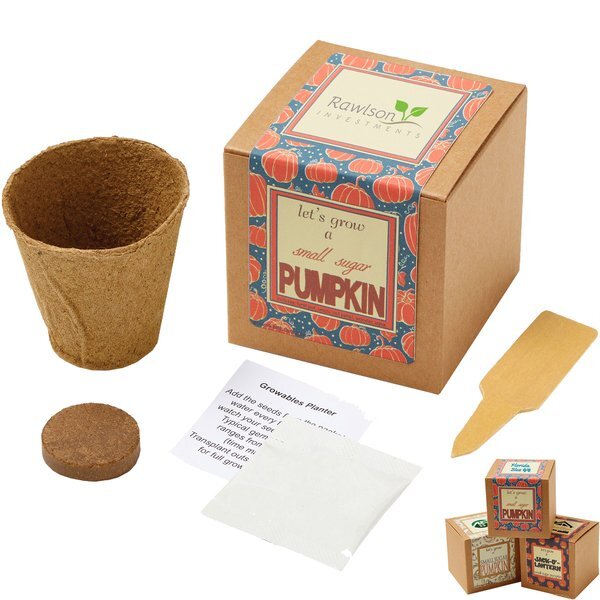 Small Sugar Pumpkin Growables Planter in Kraft Gift Box w/ Label