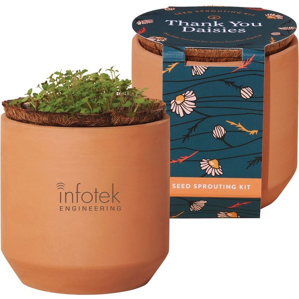 Modern Sprout® Tiny Terracotta Grow Kit - Thank You Daisies