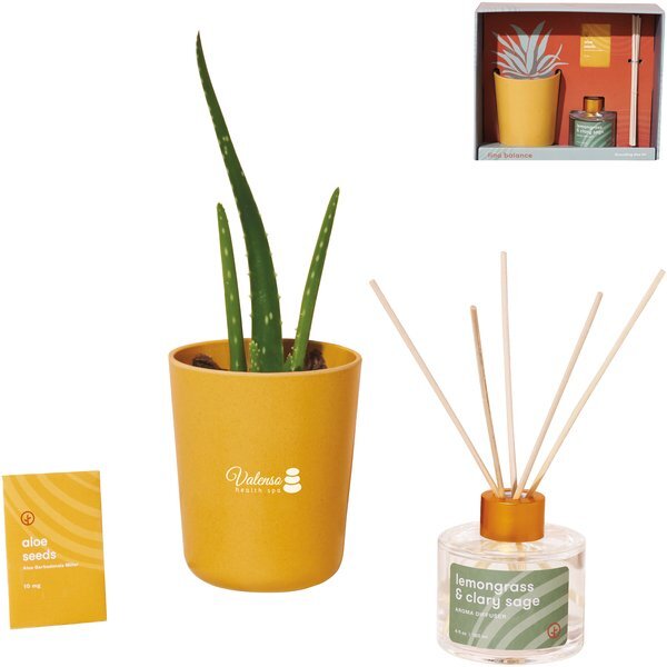Modern Sprout® Find Balance Take Care Aloe Kit