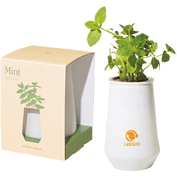 Modern Sprout® Tapered Tumbler Mint Grow Kit