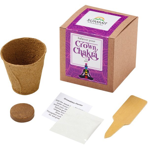 Crown Chakra Growables Planter in Kraft Gift Box w/ Full Color Label