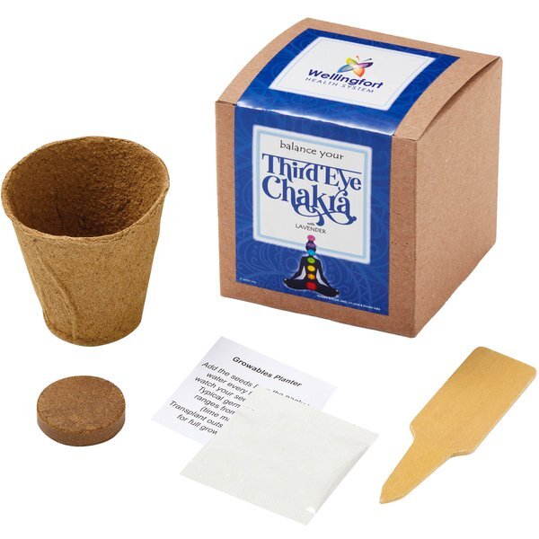 Third Eye Chakra Growables Planter in Kraft Gift Box w/ Full Color Label