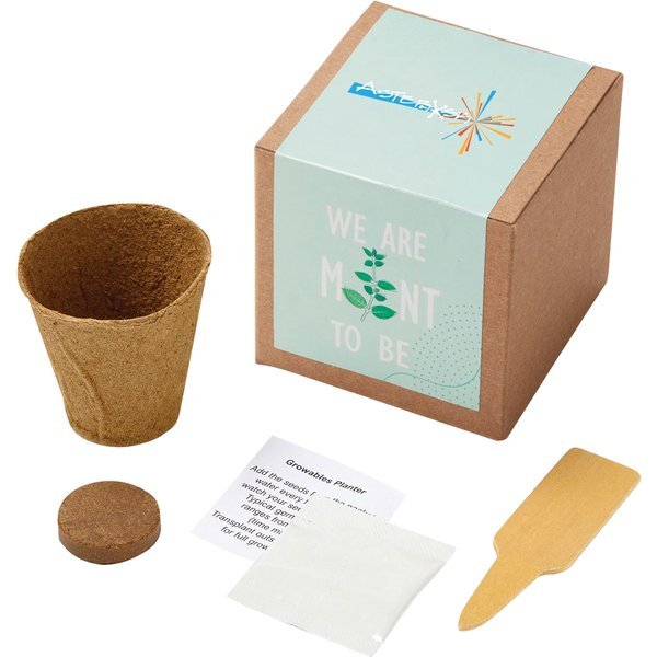 Inspirational Mint to Be Planter in Kraft Gift Box w/ Label