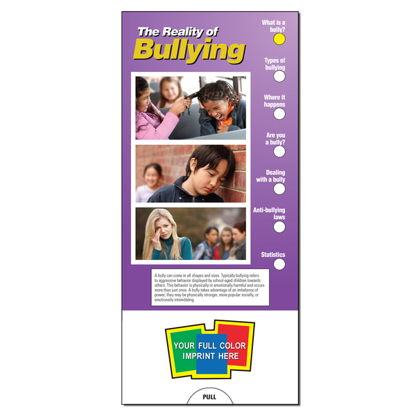 The Reality of Bullying Slide Chart