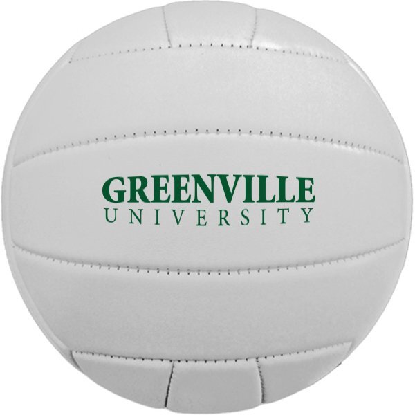 Full Size Synthetic Leather Volleyball, 26"